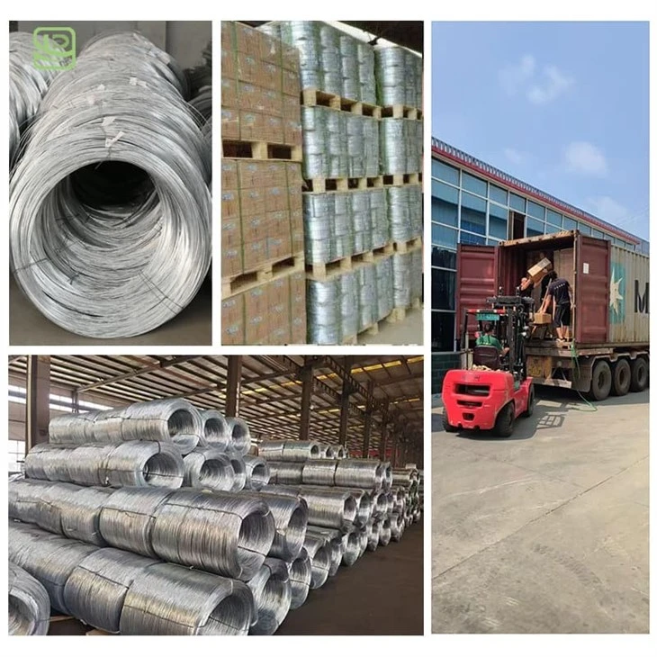 Electro Galvanized Wire high quality
